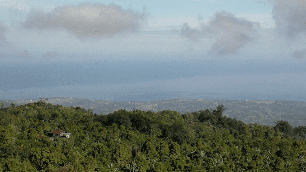 A lush green forest covers rolling hills with a small house visible among the trees. In the distance, a wide expanse of land meets a calm blue sea under a partly cloudy sky.