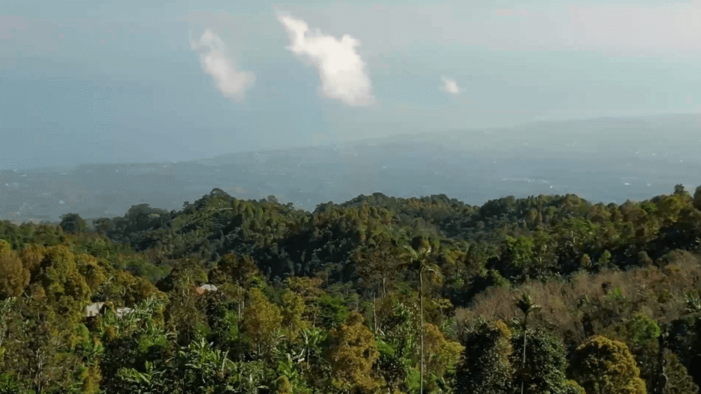 A scenic landscape view of lush green hills and dense forests under a hazy sky, with a few white clouds floating above. The distant horizon is faintly visible through the mist.